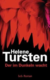 Der im Dunkeln wacht - Helene Tursten - E-Book
