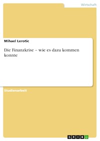 Die Finanzkrise – wie es dazu kommen konnte - Mihael Lerotic - E-Book