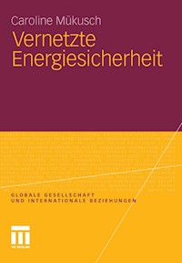 Vernetzte Energiesicherheit - Caroline Mükusch - E-Book