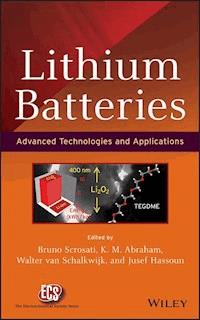 Lithium Batteries -  - E-Book