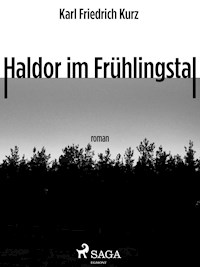 Haldor im Frühlingstal - Karl Friedrich Kurz - E-Book