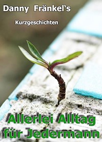 Allerlei Alltag für Jedermann - Danny Fränkel - E-Book