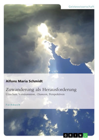 Zuwanderung als Herausforderung - Alfons Maria Schmidt - E-Book