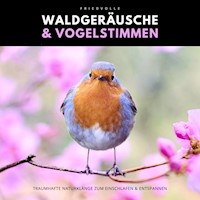 Friedvolle Waldgeräusche & Vogelstimmen - Naturklänge Manufaktur - Hörbuch