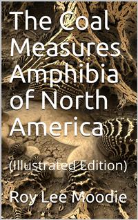 The Coal Measures Amphibia of North America - Roy Lee Moodie - E-Book