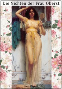 Die Nichten der Frau Oberst - Guy de Maupassant - E-Book