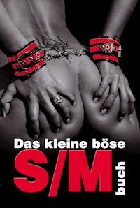 Das kleine böse S/M-Buch - Ina Stein - E-Book