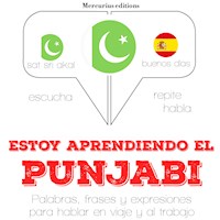 Estoy aprendiendo el punjabi - JM Gardner - Hörbuch