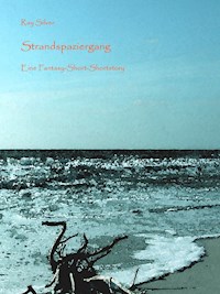 Strandspaziergang - Ray Silver - E-Book