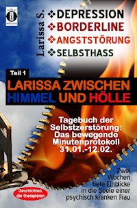 DEPRESSION - BORDERLINE - ANGSTSTÖRUNG - SELBSTHASS - Larissa S. - E-Book