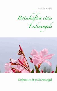 Botschaften eines Erdenengels - Clarissa M. Seite - E-Book