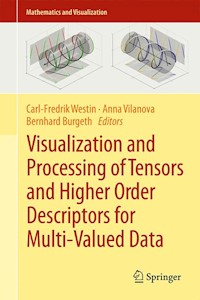 Visualization and Processing of Tensors and Higher Order Descriptors for Multi-Valued Data - - E-Book