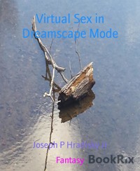 Virtual Sex in Dreamscape Mode - Joseph P Hradisky Jr - E-Book