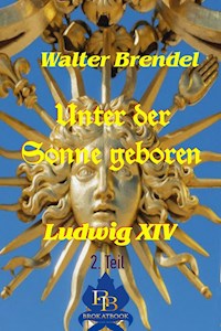 Unter der Sonne geboren - 2. Teil - Walter Brendel - E-Book