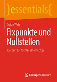 Fixpunkte und Nullstellen - Guido Walz - E-Book