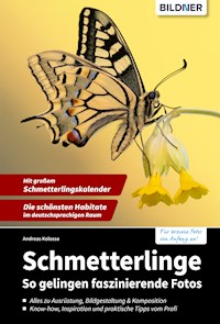 Schmetterlinge - Andreas Kolossa - E-Book