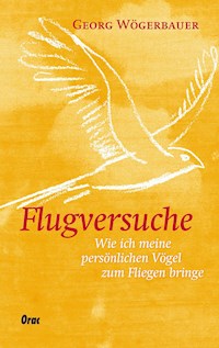 Flugversuche - Georg Wögerbauer - E-Book