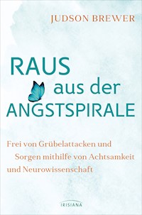 Raus aus der Angstspirale - Judson Brewer - E-Book