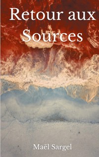 Retour Aux Sources - Maël Sargel - E-Book