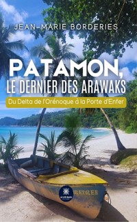 Patamon, le dernier des Arawaks - Jean-Marie Borderies - E-Book