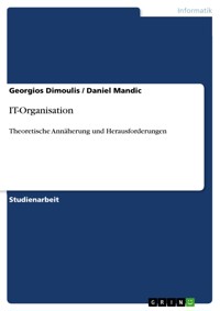 IT-Organisation - Georgios Dimoulis - E-Book