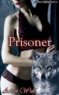 Prisoner - Arian Wulf - E-Book