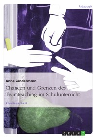 Chancen und Grenzen des Teamteaching im Schulunterricht - Anne Sandermann - E-Book