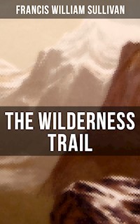 The Wilderness Trail - Francis William Sullivan - E-Book