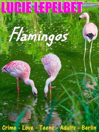Flamingos - Lucie Lepelbet - E-Book