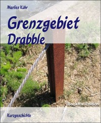 Grenzgebiet - Marlies Kühr - E-Book