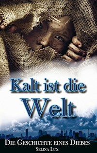 Kalt ist die Welt - Selina Lux - E-Book
