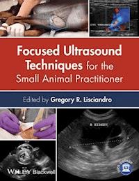 Focused Ultrasound Techniques for the Small Animal Practitioner -  - E-Book