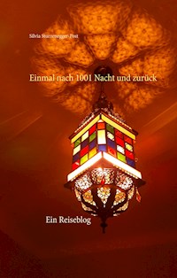 Einmal nach 1001 Nacht und zurück - Silvia Sturzenegger-Post - E-Book
