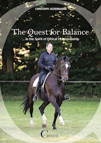 The Quest for Balance - Christoph Ackermann - E-Book