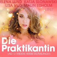 Die Praktikantin und 12 andere heiße Erzählungen - Lisa Vild - Hörbuch