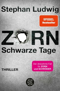 Zorn – Schwarze Tage - Stephan Ludwig - E-Book