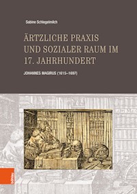 Ärtzliche Praxis und sozialer Raum im 17. Jahrhundert - Sabine Schlegelmilch - E-Book