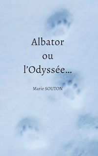 Albator ou l'Odyssée... - Marie Souton - E-Book