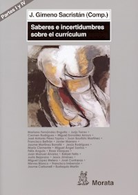 El encaje del currículum en el sistema educativo - Rafael Feito Alonso - E-Book