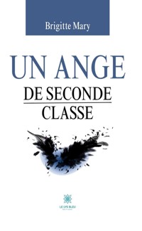 Un ange de seconde classe - Brigitte Mary - E-Book