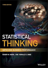 Statistical Thinking - Roger W. Hoerl - E-Book