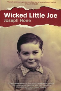 Wicked Little Joe - Joseph Hone - E-Book