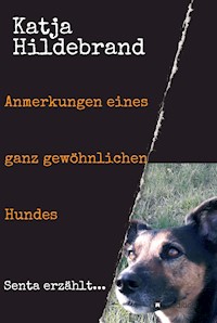 Anmerkungen eines ganz gewöhnlichen Hundes - Katja Hildebrand - E-Book