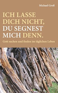 Ich lasse dich nicht, du segnest mich denn. - Michael Groß - E-Book