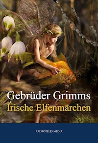 Grimms Irische Elfenmärchen - Grimm Jacob - E-Book