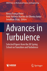 Advances in Turbulence -  - E-Book