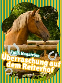 Überraschung auf dem Reiterhof - Torbjörg Hagström - E-Book