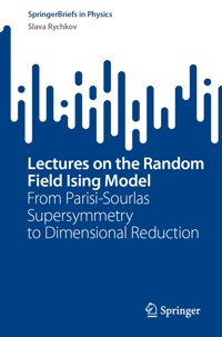 Lectures on the Random Field Ising Model - Slava Rychkov - E-Book
