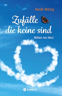 Zufälle, die keine sind - Heidi Witzig - E-Book