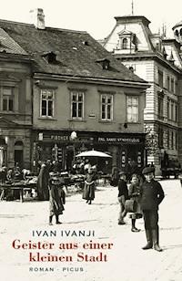 Geister aus einer kleinen Stadt - Ivan Ivanji - E-Book
